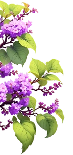 promo banner
